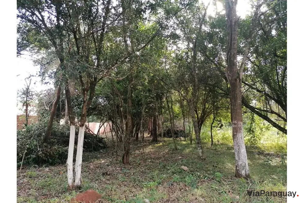 Terreno à venda em Chaipé, Encarnação
