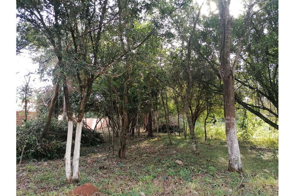 Land for sale in Chaipé, Encarnación