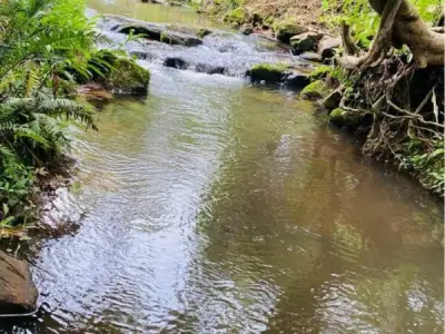 Terreno à venda em Chololo, Escobar, Paraguarí