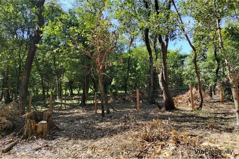 Terreno à venda em Ciervo Cuá, San Bernardino
