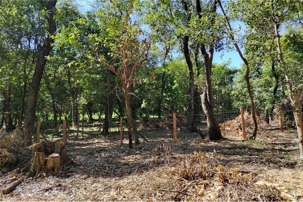 Terreno en venta en Ciervo Cuá, San Bernardino