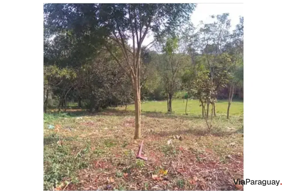 Terreno à venda em Ciudad del Este, bairro 23 de Outubro