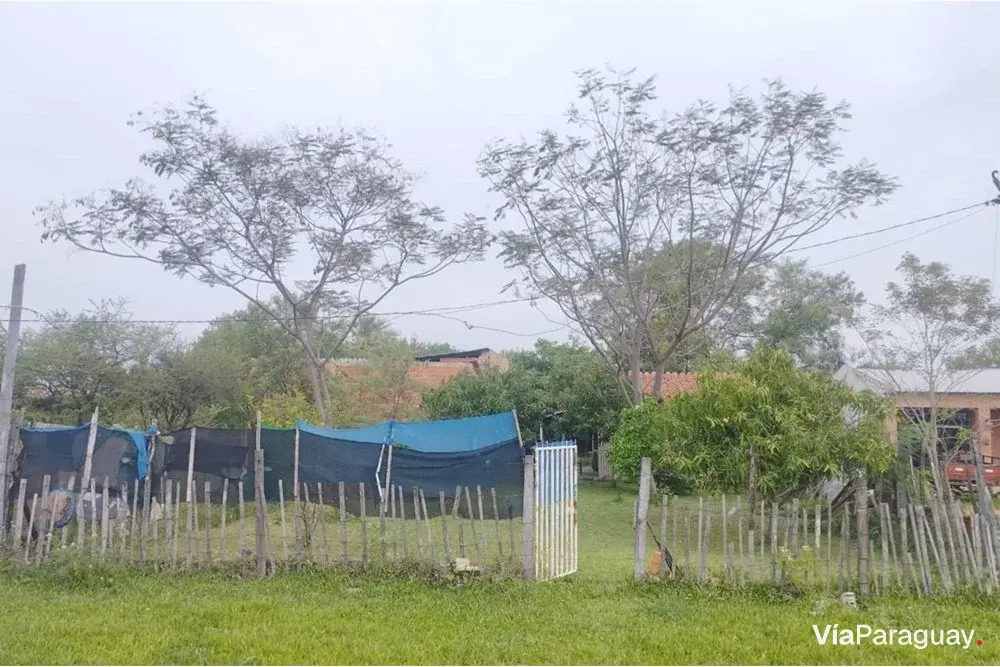Terreno en venta en Ciudad Jardín, Limpio