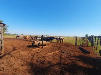 Terreno à venda em Colonia Nueva Fortuna, Hernandarias