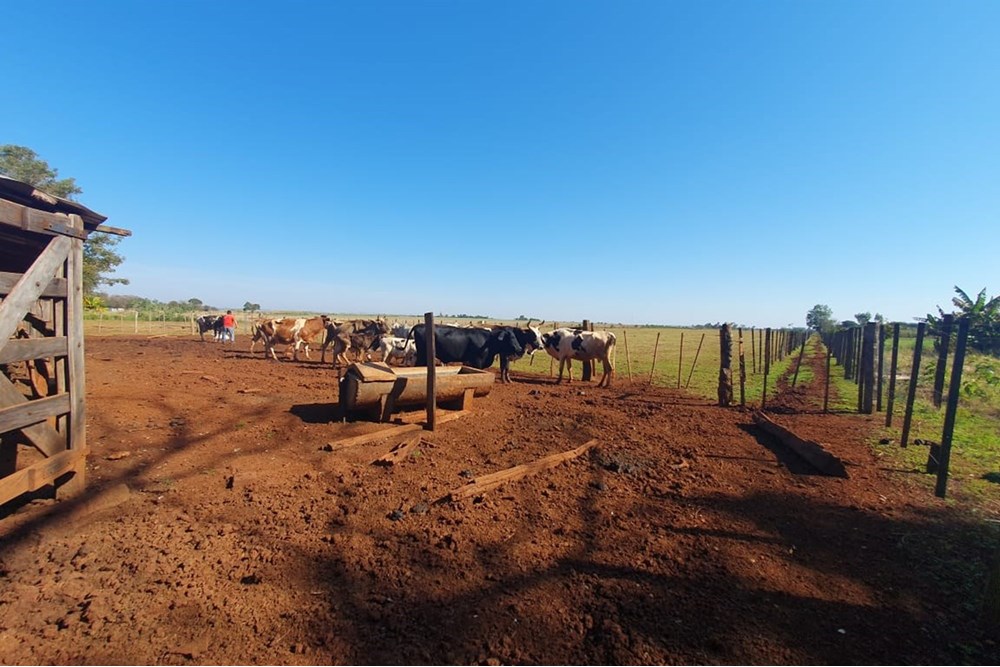 Terreno en venta en Colonia Nueva Fortuna, Hernandarias