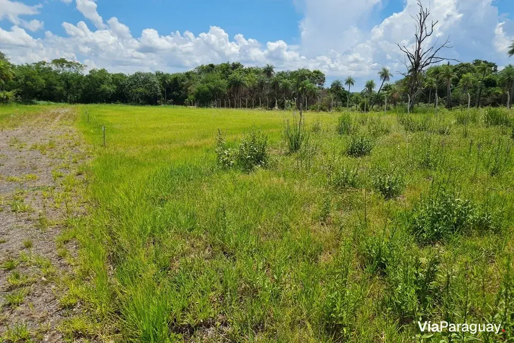 Terreno en venta en condominio La Matilde, San Bernardino