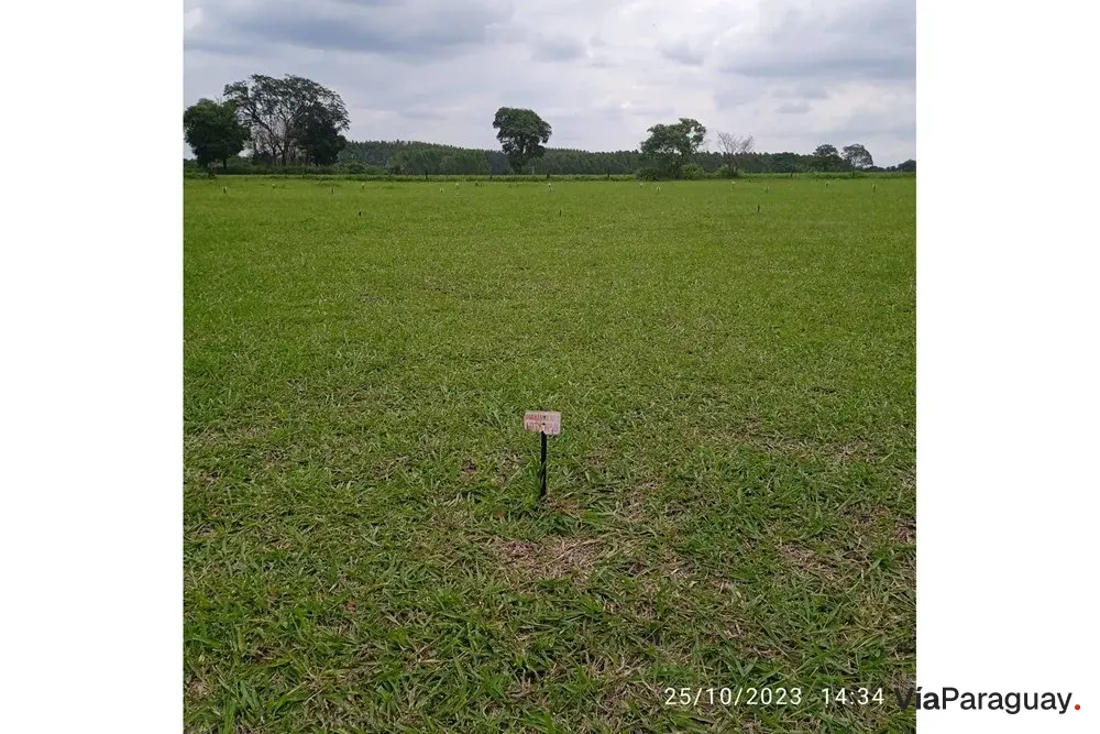 Terreno à venda no Condominio Propósito II, Minga Guazú