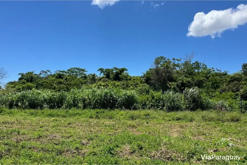 Terreno à venda em Coronel Oviedo, Caaguazú