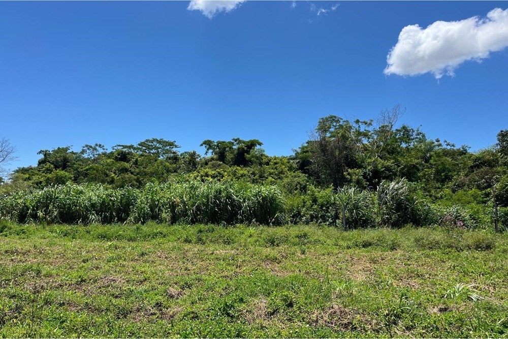 Terreno en venta en Coronel Oviedo, Caaguazú