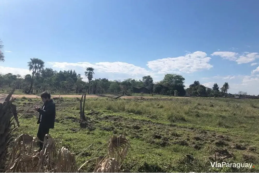 Terreno à venda em Costa Azul, Limpio