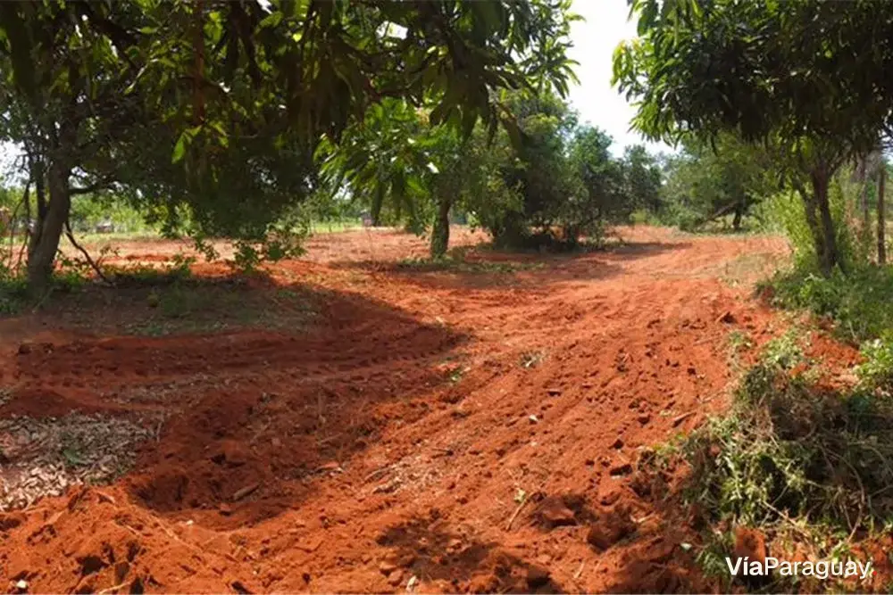 Terreno à venda em Costa Fleitas, Areguá