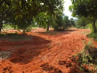 Terreno à venda em Costa Fleitas, Areguá