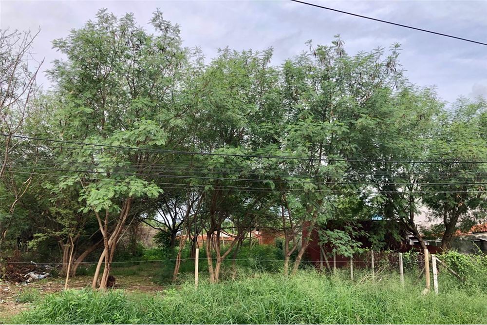 Terreno en venta en Defensores del Chaco, Mariano Roque Alonso
