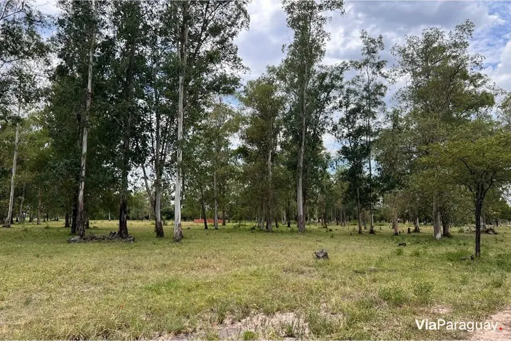 Terreno en venta en Doctor José Falcón, Presidente Hayes