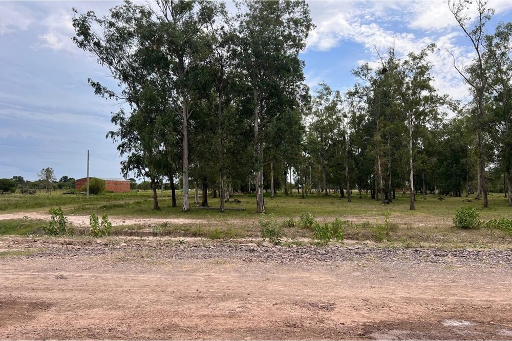 Land for sale in Doctor José Falcón, Presidente Hayes