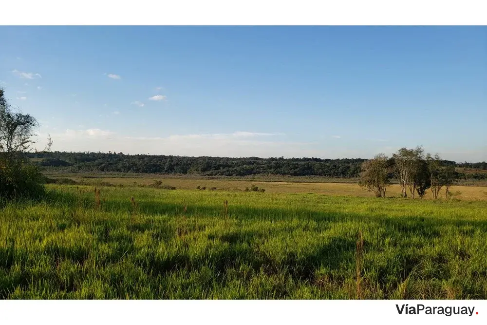 Terreno en venta en Doctor Juan Manuel Frutos, Caaguazú