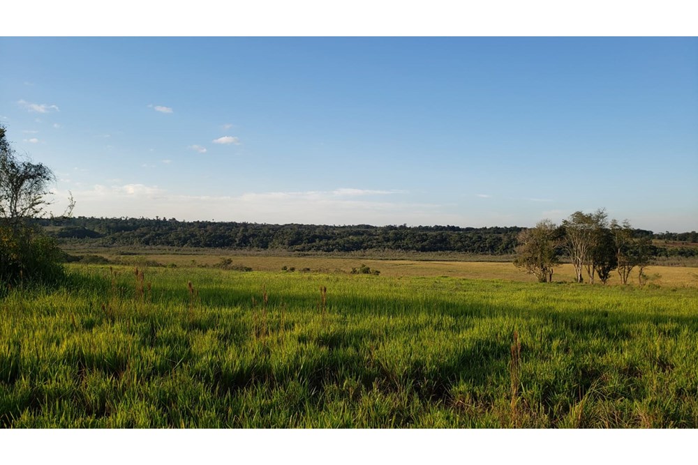 Terreno en venta en Doctor Juan Manuel Frutos, Caaguazú