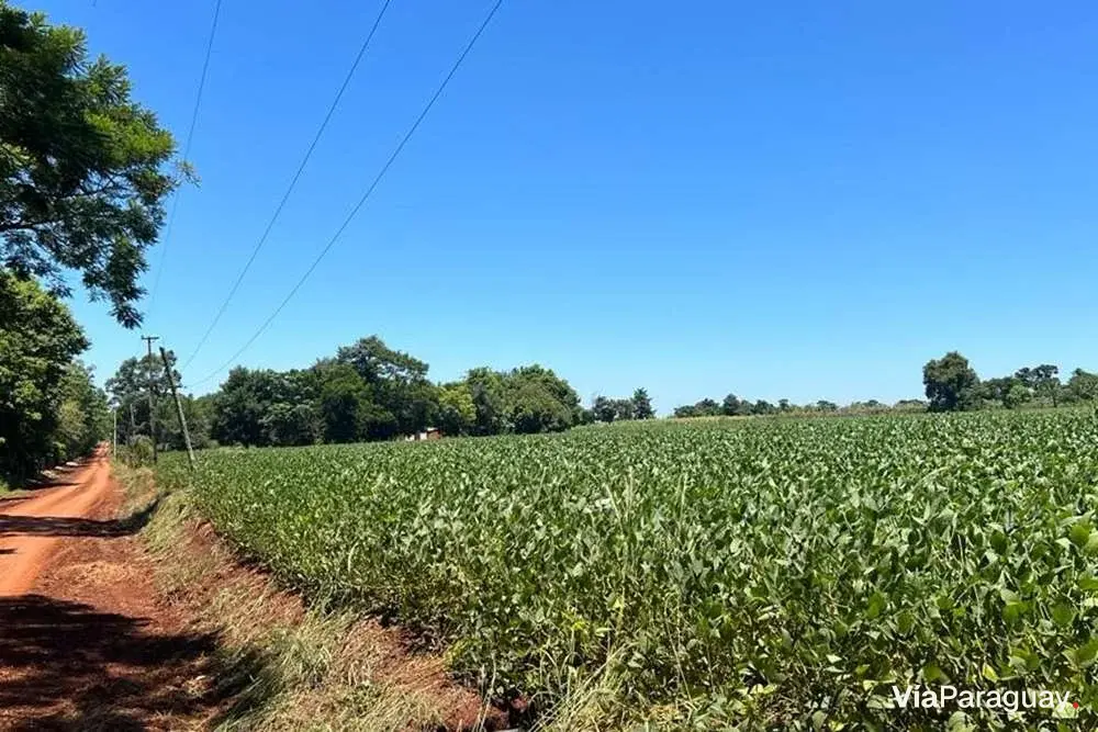 Terreno en venta en Edelira, Itapúa