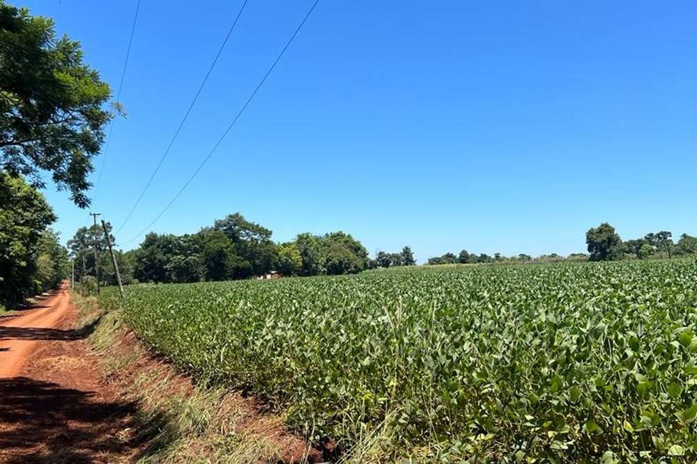 Terreno à venda em Edelira, Itapúa