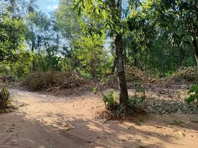 Terreno à venda em Emboscada – 8.738 m² de terra virgem 1