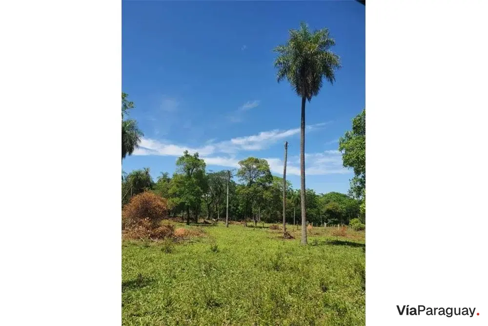 Land for sale in Emboscada, Cordillera