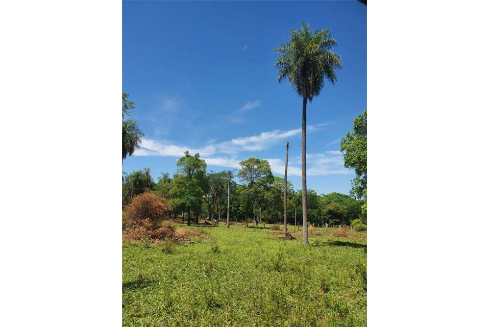 Land for sale in Emboscada, Cordillera