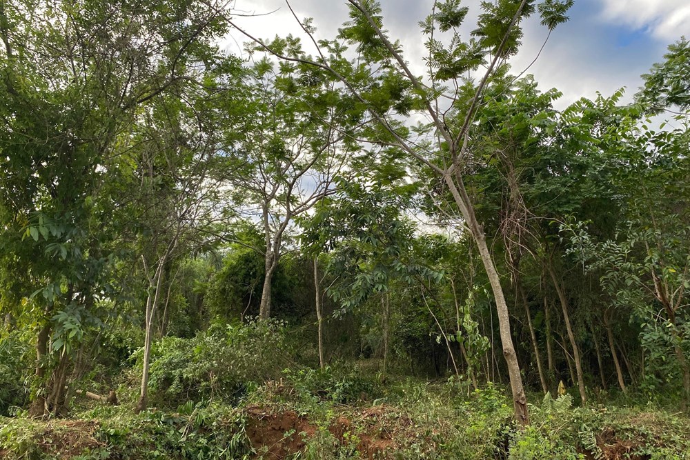 Land for sale in Emboscada, Cordillera