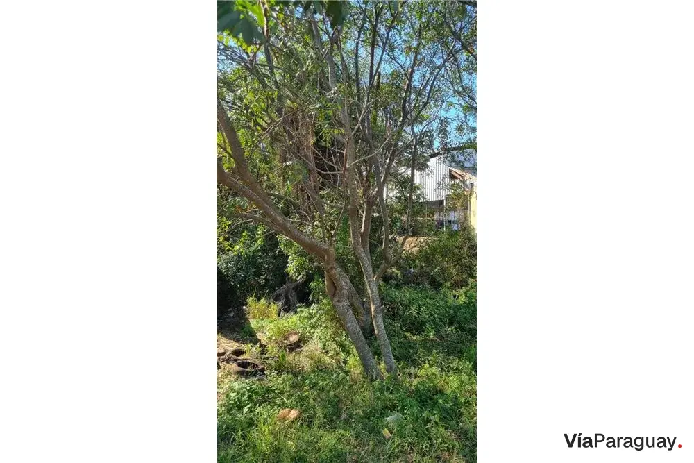 Land for sale in Encarnación, Itapúa