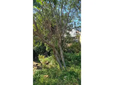 Land for sale in Encarnación, Itapúa