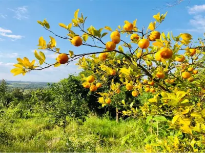 Terreno à venda em Encarnación, Itapúa