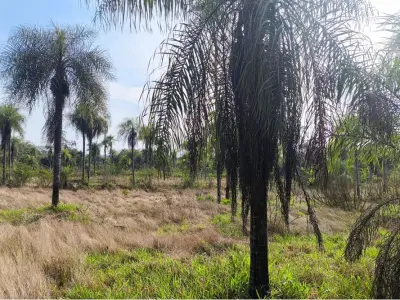 Terreno en venta en Eusebio Ayala, Cordillera