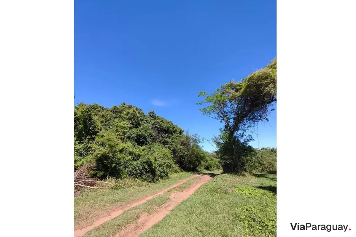 Terreno en venta en Eusebio Ayala, Cordillera