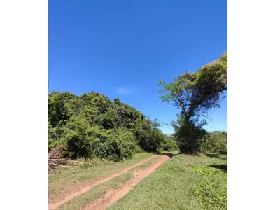 Terreno en venta en Eusebio Ayala, Cordillera