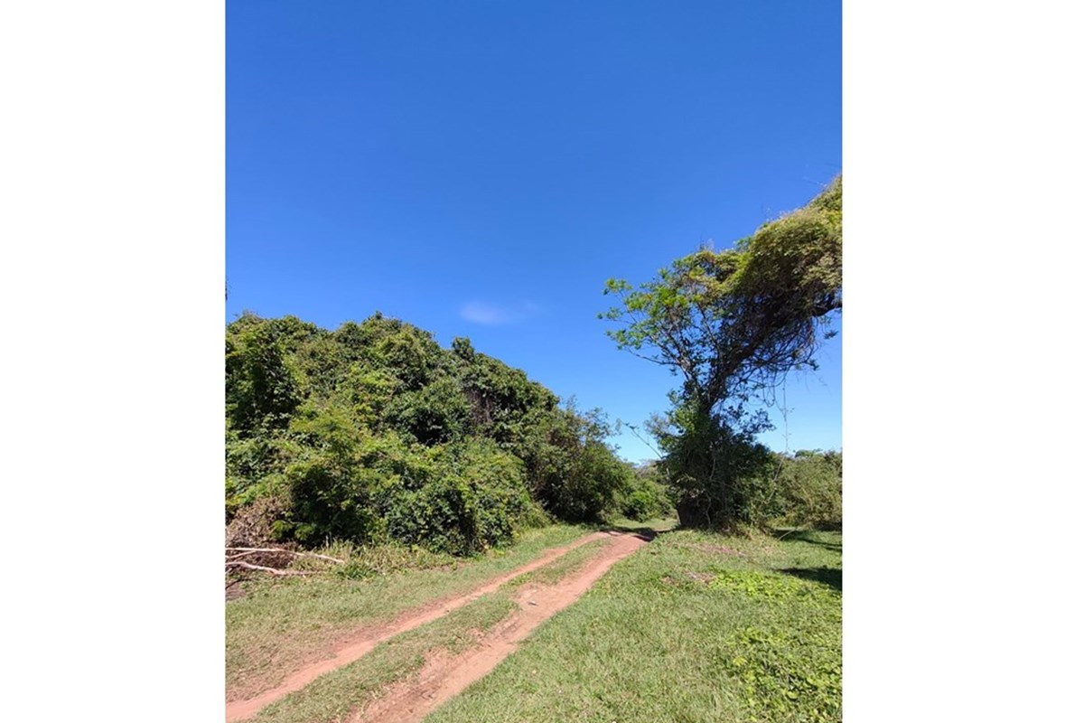Terreno en venta en Eusebio Ayala, Cordillera