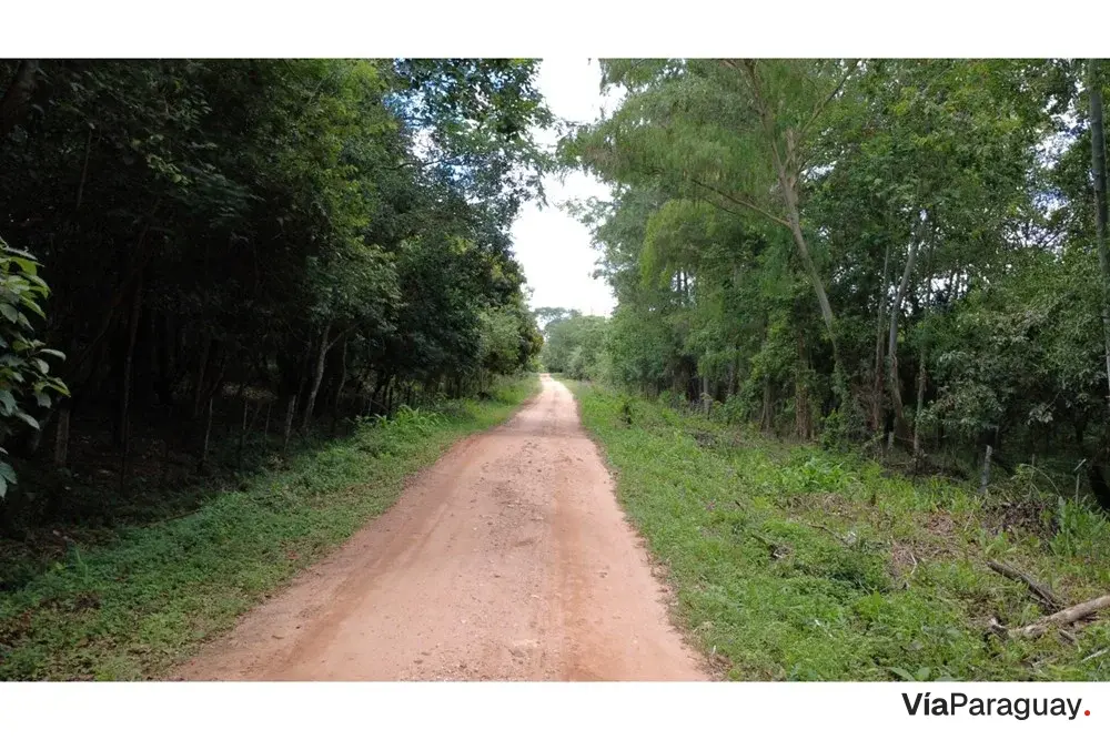 Terreno à venda em Eusebio Ayala, Cordillera