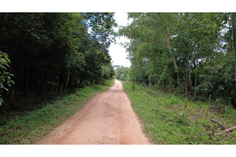 Terreno en venta en Eusebio Ayala, Cordillera
