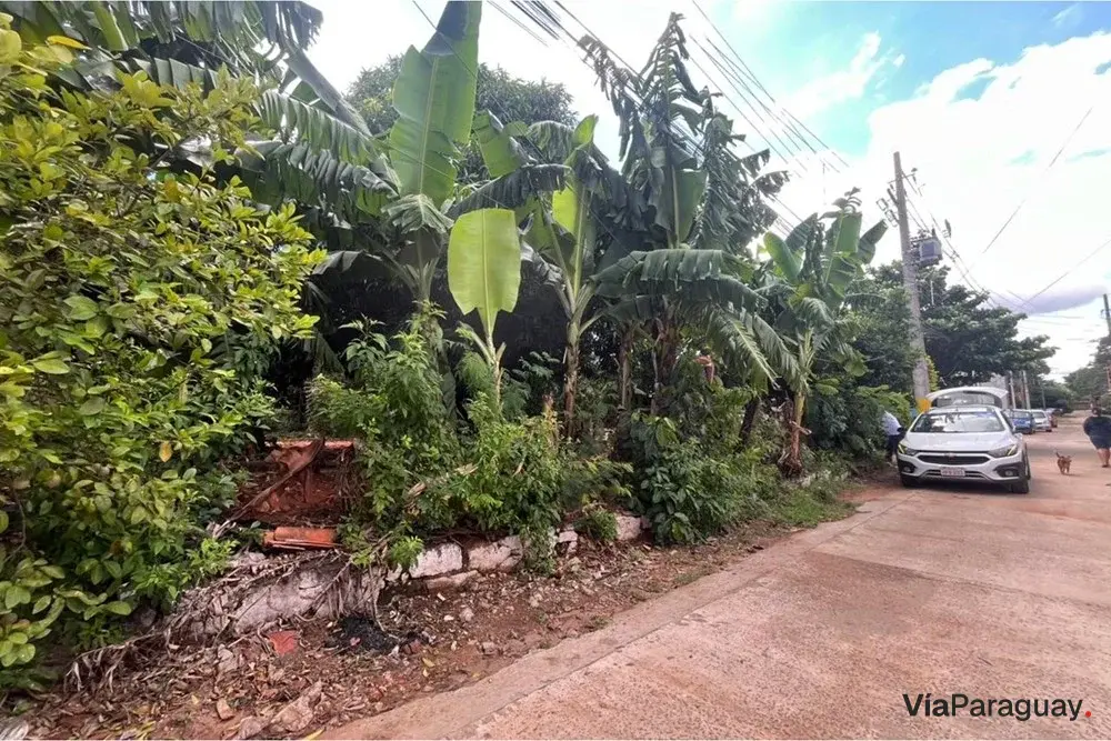 Terreno à venda em Fernando de la Mora, Zona Sul