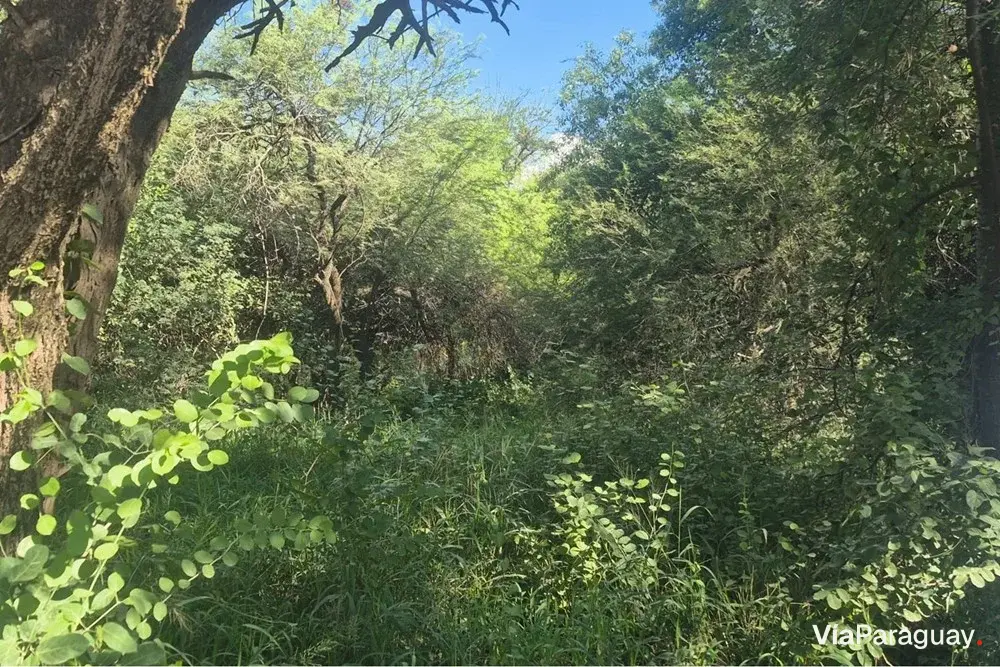 Terreno en venta en Filadelfia, Boquerón