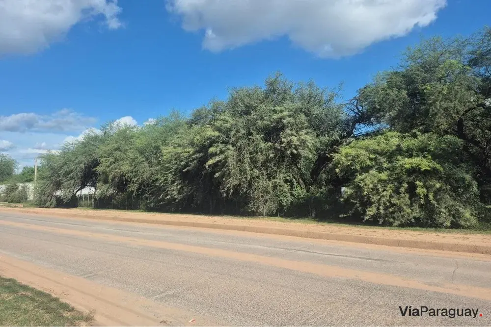 Terreno en venta en Filadelfia, Boquerón