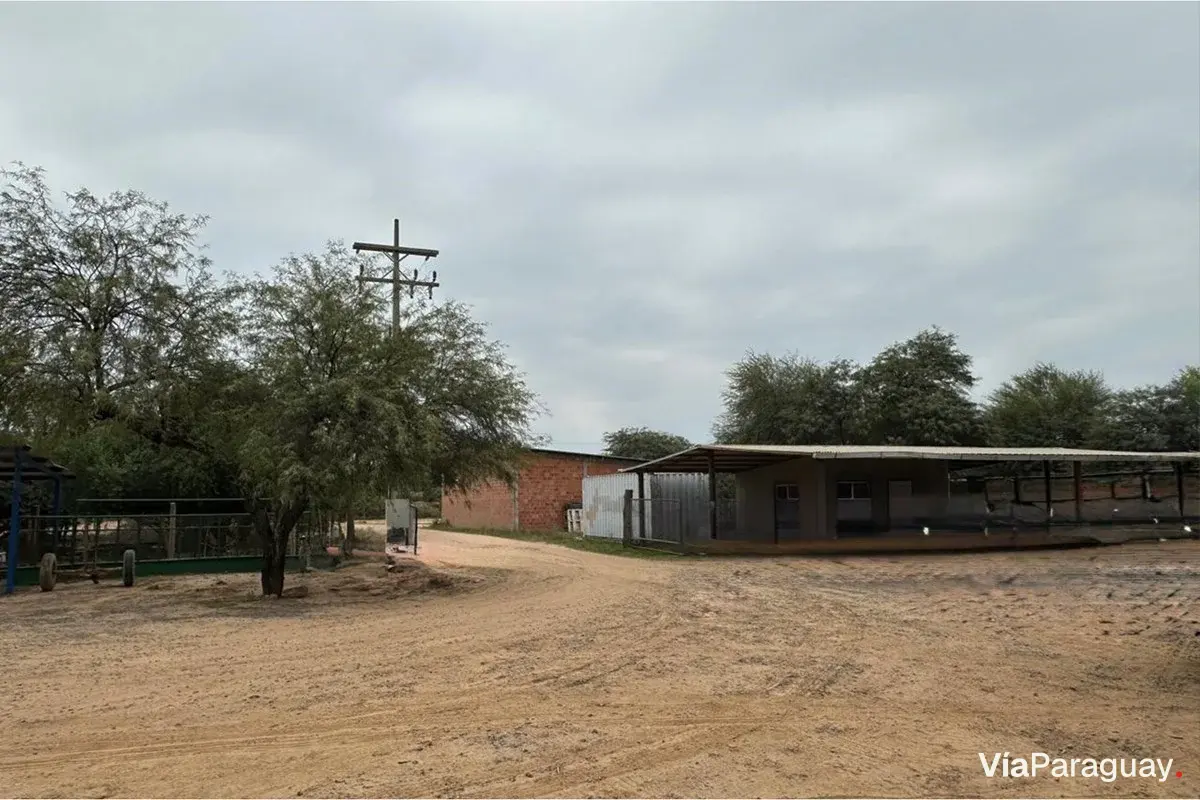 Land for sale in Filadelfia, Boquerón