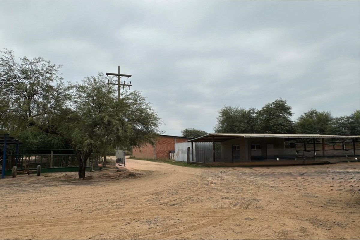 Terreno en venta en Filadelfia, Boquerón