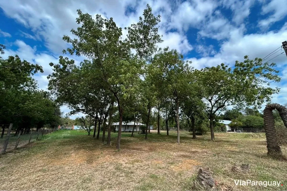 Terreno en venta en Filadelfia, Boquerón