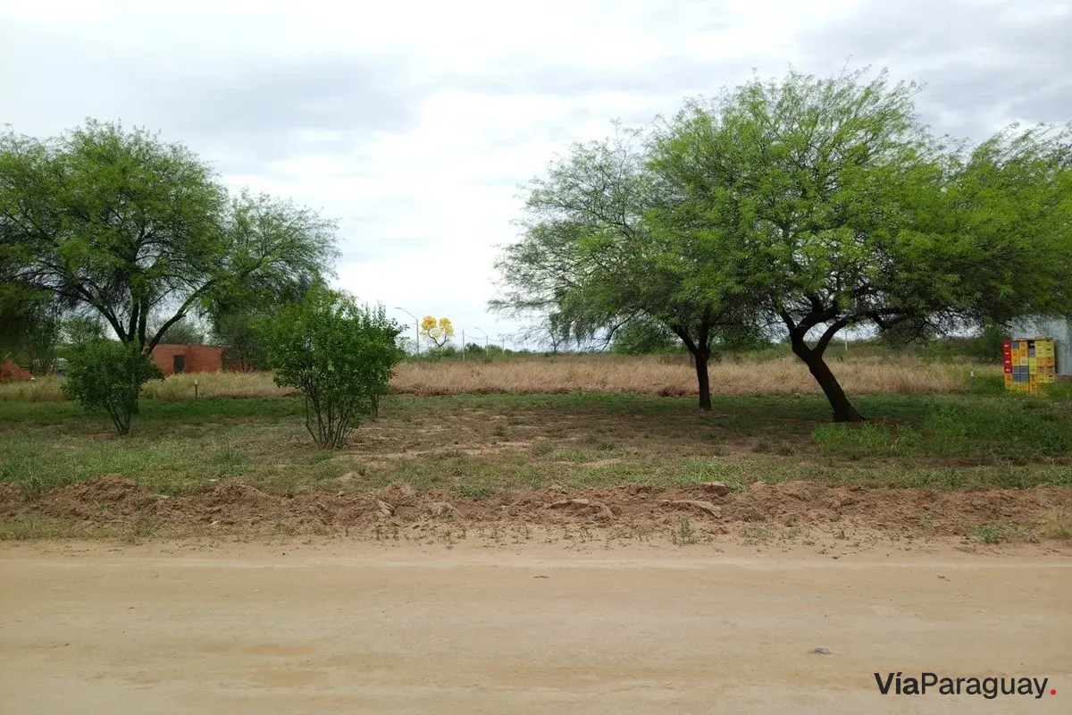 Terreno en venta en Filadelfia, Boquerón