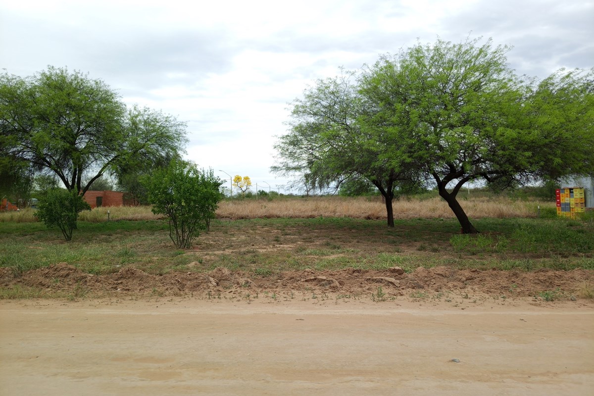 Terreno en venta en Filadelfia, Boquerón