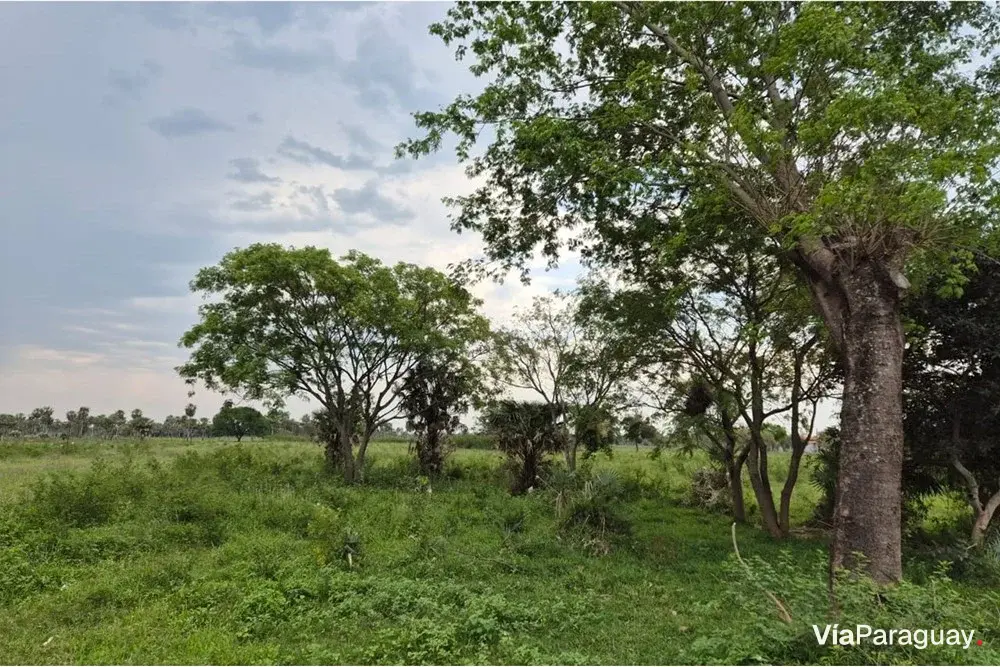 Terreno en venta en fracción Montepila Norte, Villa Hayes