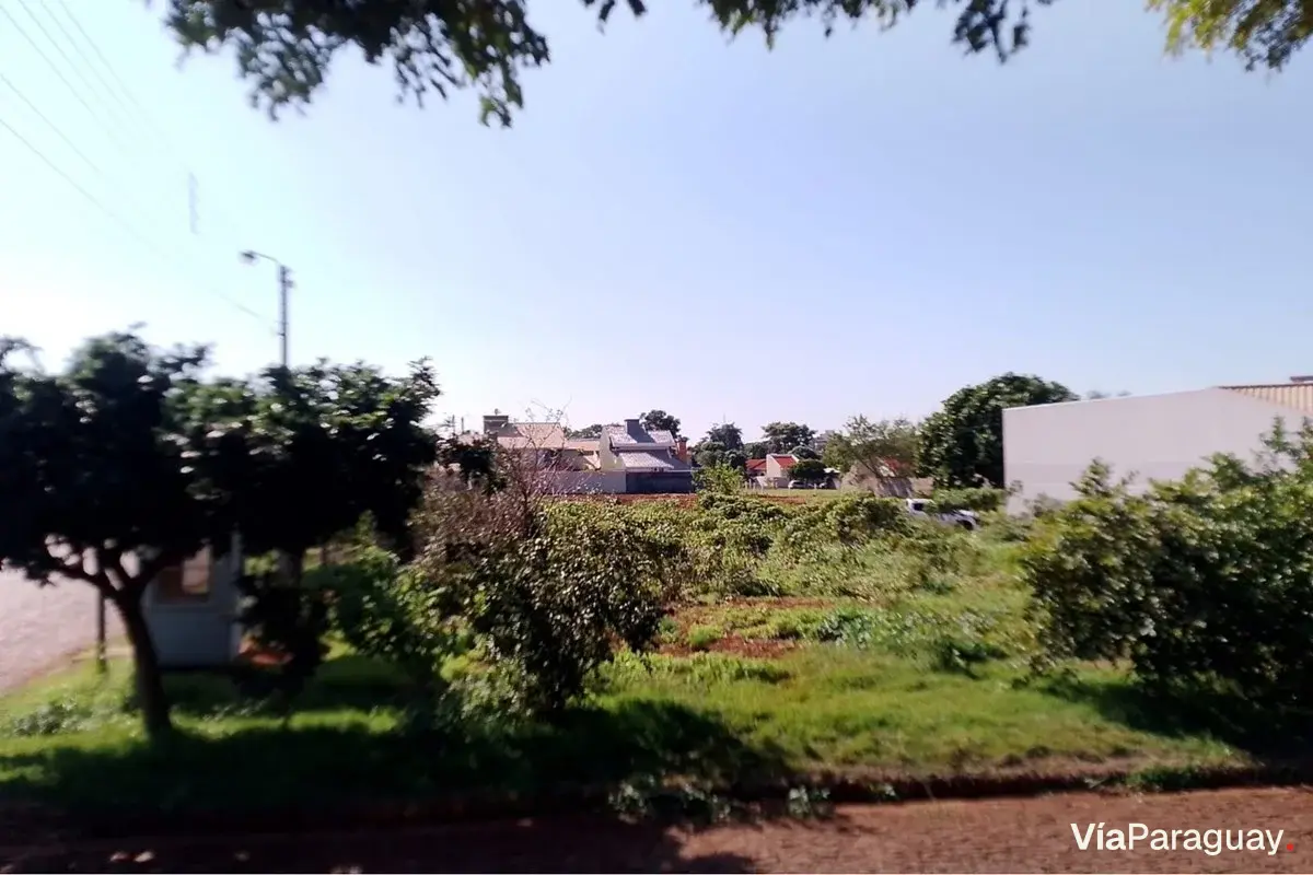 Land for sale in Fracción Shultz, Santa Rita