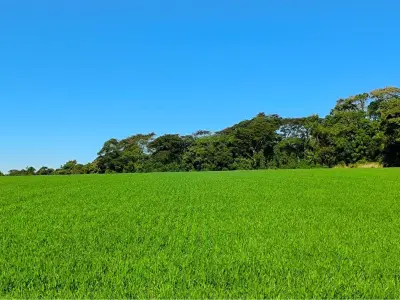 Land for sale in Fram, Itapúa