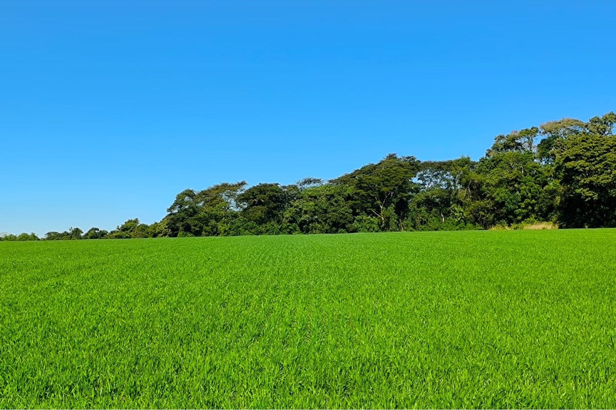 Terreno en venta en Fram, Itapúa