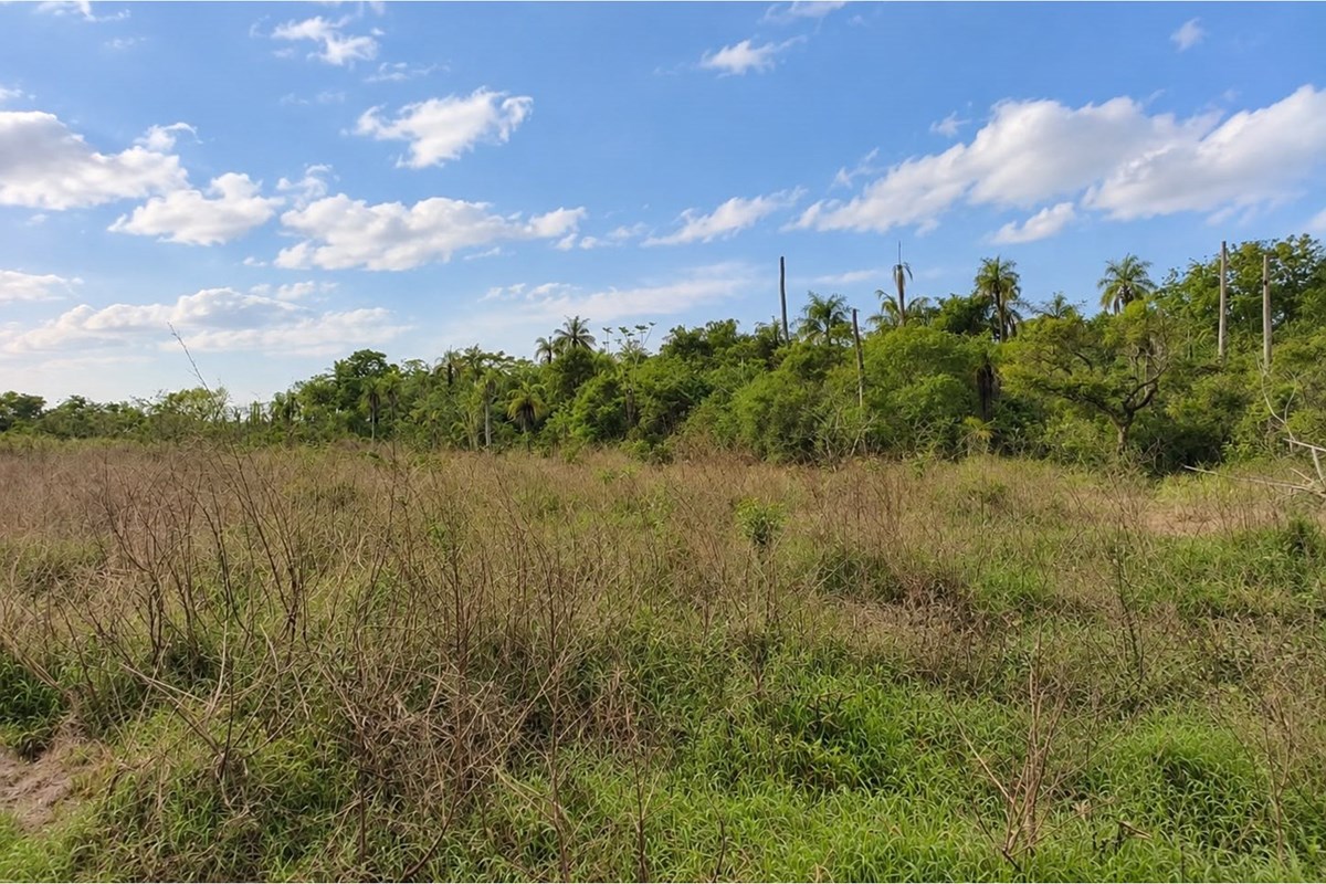 Terreno à venda em Guarambaré, Central