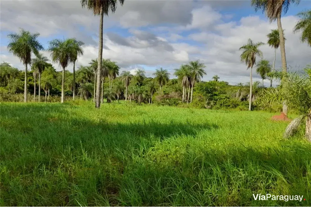 Terreno à venda em Guazú Virá, Itauguá